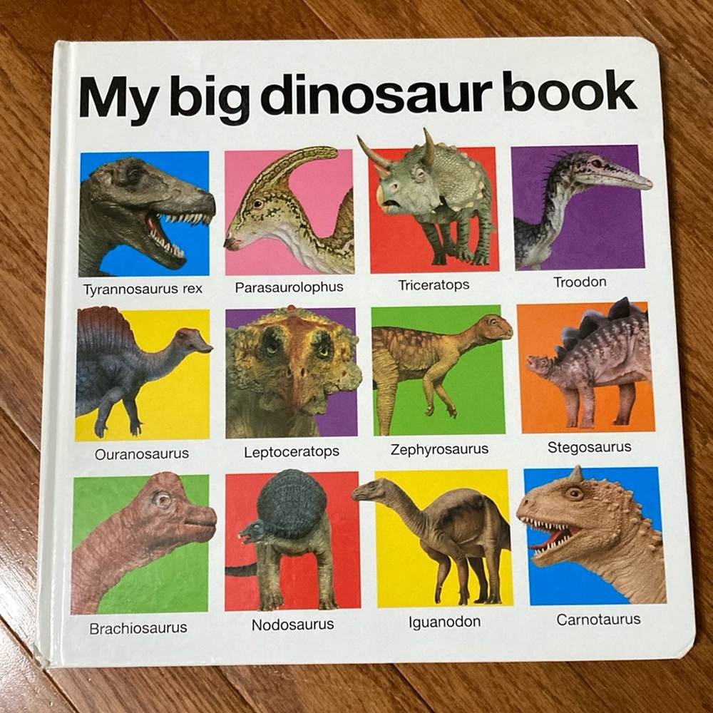 For the love of  DINOSAURS - Dino Figurine, Big Book & Floor Puzzle (48 pieces) - Picture 4 of 16